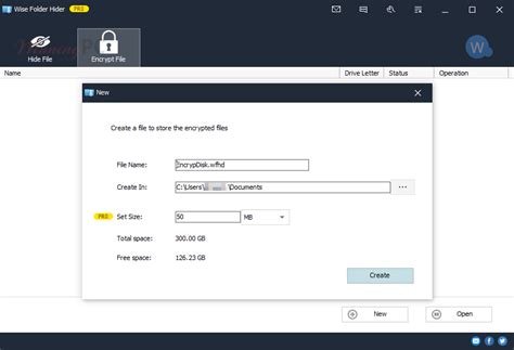 Wise Folder Hider Pro